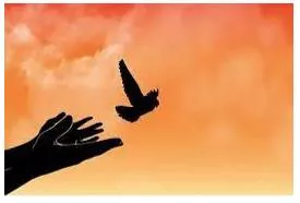 Liberation - Freed from or opposed to traditional social and sexual attitudes or roles.