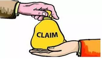Claiming meaning
