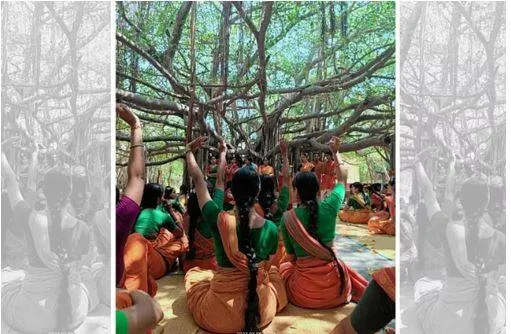 Conflict of interest  kalakshetra board member’s son representing accused hari padman in sexual harassment case