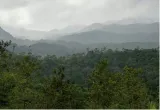 Sc modifies order on esz around protected forests