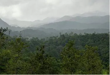 Sc modifies order on esz around protected forests