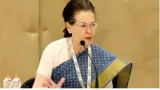 Bjp mla calls sonia gandhi 'venomous maiden ' congress hits out  demands his sacking