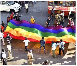Rashtra sevika samiti wing conducts survey on lgbtq+ groups