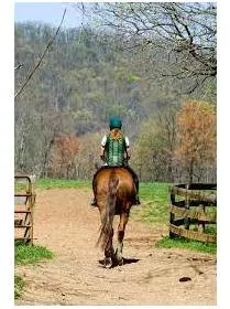 Mounted meaning