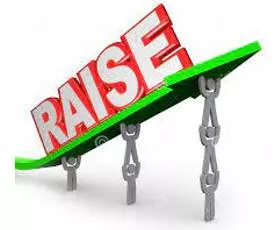 Raised meaning