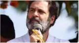 Parliament built through constitutional values not by 'bricks of ego'  rahul gandhi