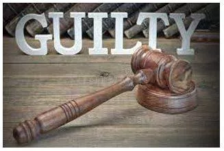 Verdict meaning