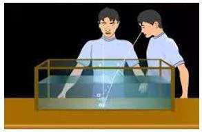 Apparent - Clearly visible or understood.