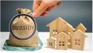 Subsidy - A sum of money granted by the state or a public body to help an industry or business keep the price of a commodity or service low.