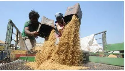 Union cabinet clears increased msp for kharif crops for marketing season 2023 24