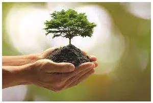 Prosperity - Successful in material terms