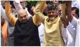 Bjp in unenviable position on tdp ties