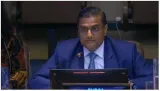 India slams china for blocking unsc listing of sajid mir as ‘global terrorist’