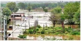 Flood like situation in five districts of rajasthan  cm gehlot makes aerial survey
