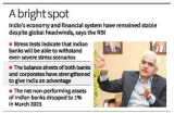 Indian economy resilient despite global risks  rbi