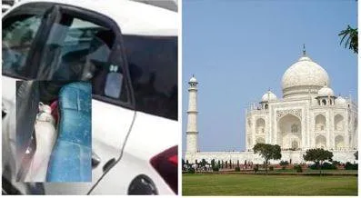 Dog dies in car as family visits taj  why so irresponsible 
