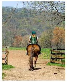 Mounting - Riding an animal, typically a horse, especially for military or other duty.