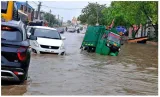 Auto driver drowns after driving into flooded ditch