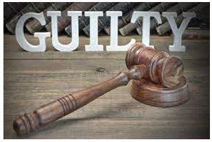 Verdict meaning