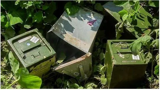 Bengal panchayat election  re polling underway  tmc leader ‘brutally attacked’  top updates