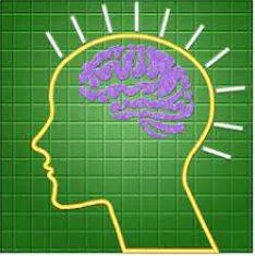 Cognizance meaning
