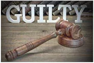 Verdict meaning