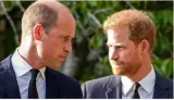 Harry dialled prince william to call a ‘truce’ without informing wife meghan markle  report