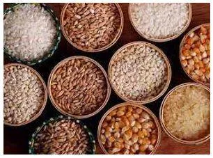 Provision - The action of providing or supplying something for use.