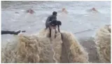 Watch  teens stuck for an hour in overflowing river in udaipur  rescued