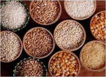 Provision - The action of providing or supplying something for use.