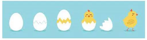 Hatched meaning