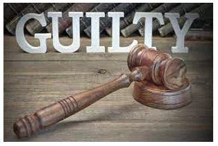 Verdict meaning