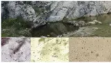 Indian  japanese scientists discover 600 million year old ocean water in himalayas  findings to give clues on earth's past