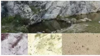Indian  japanese scientists discover 600 million year old ocean water in himalayas  findings to give clues on earth's past