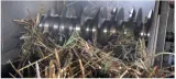 Sugar output to see a slight dip amid rising ethanol demand