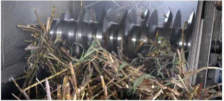 Sugar output to see a slight dip amid rising ethanol demand