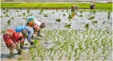 Ask karnataka to release water due to t n   stalin