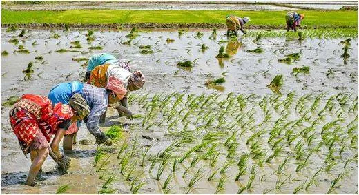 Ask karnataka to release water due to t n   stalin