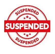 Suspension meaning