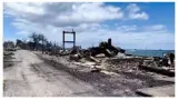 'nothing left'  future unclear for hawaii residents who lost it all in fire