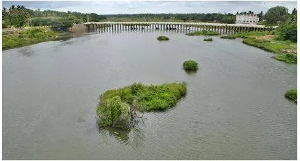Tamil nadu govt  moves supreme court for release of cauvery water by karnataka