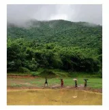 Odisha government withdraws the controversial ‘deemed forest’ order
