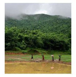 Odisha government withdraws the controversial ‘deemed forest’ order