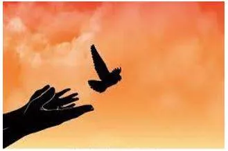Liberation meaning