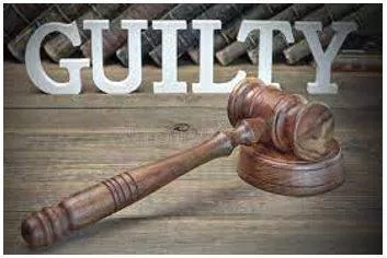 Verdict meaning