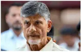 Naidu gaining traction in recent times could have triggered ‘sudden’ arrest
