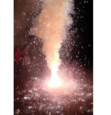 Ban on firecrackers to return  allow green crackers  says bjp