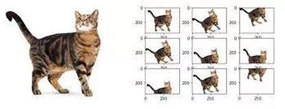 Augment meaning
