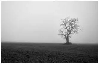 Bleak - Lacking vegetation and exposed to the elements.