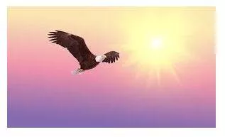 Soaring meaning